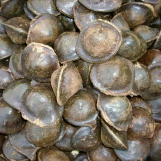 Jengkol mentah tua berkulit