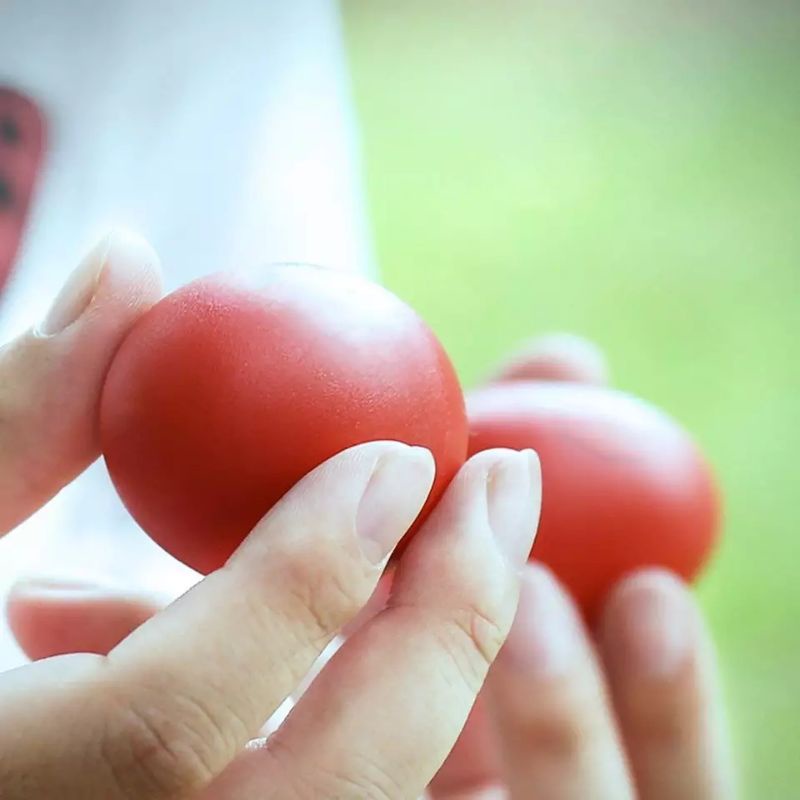 Egg Maracas Telur Egg Shaker Alat Musik Perkusi