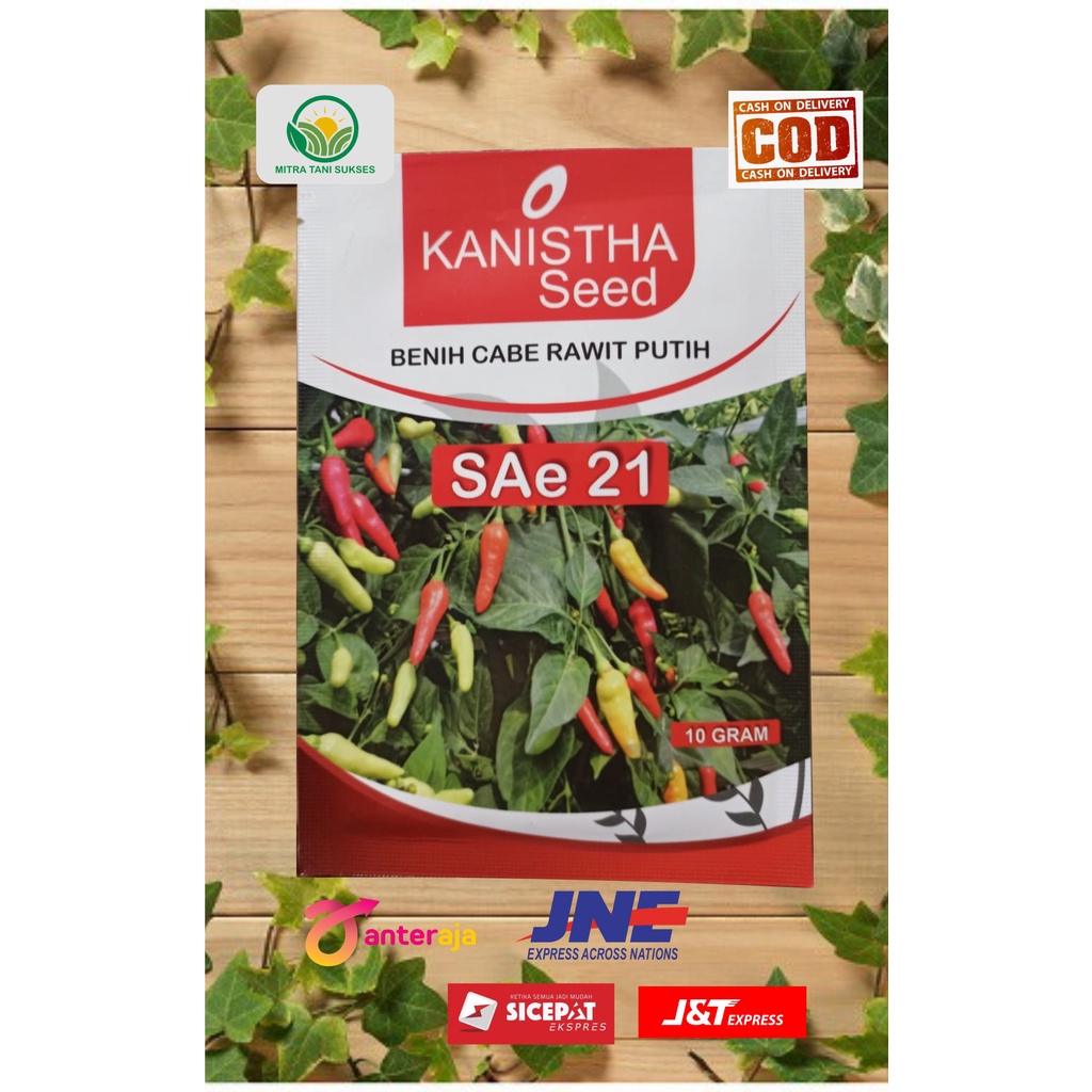 Benih Cabe Rawit SAe 21 dari Kanistha Seed Isi 10 gram