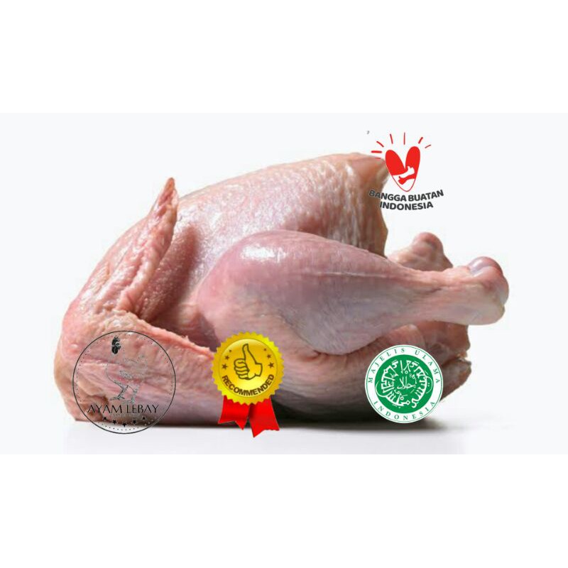 

AYAM utuh berat bersih -+1,3 kg