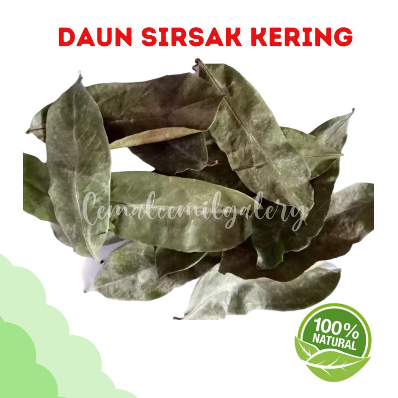 

DAUN SIRSAK OBAT TUMOR dan KISTA 100gr