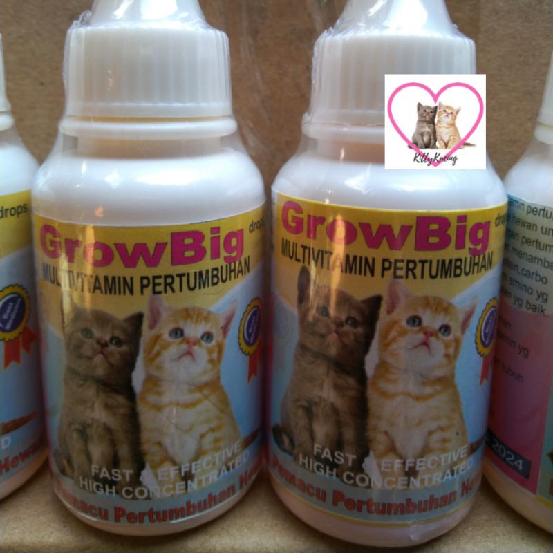 Vitamin Pertumbuhan Kucing Growbig Drop