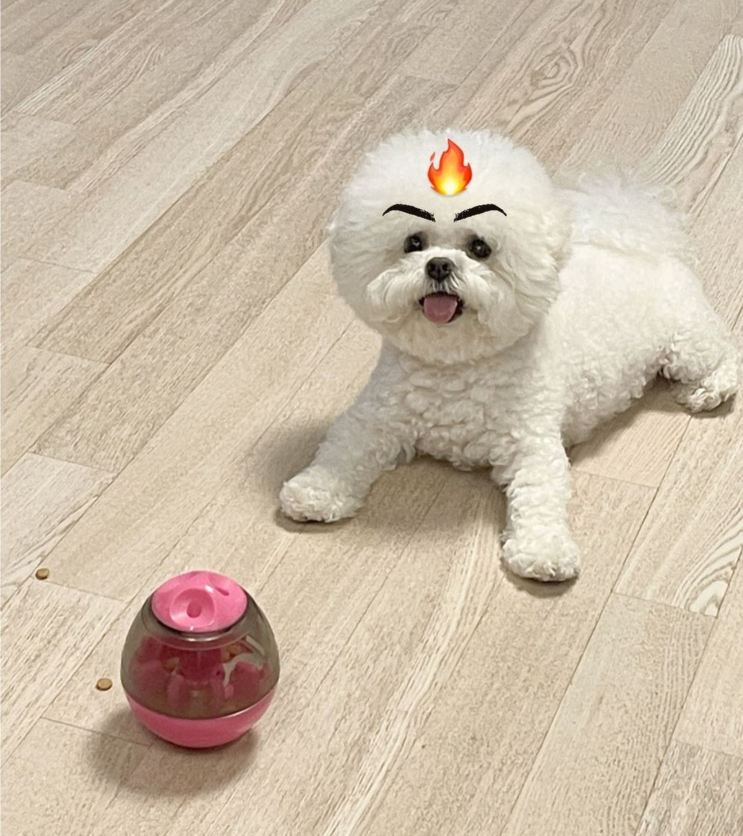 Plastik Packing Polymailer 17 X 30