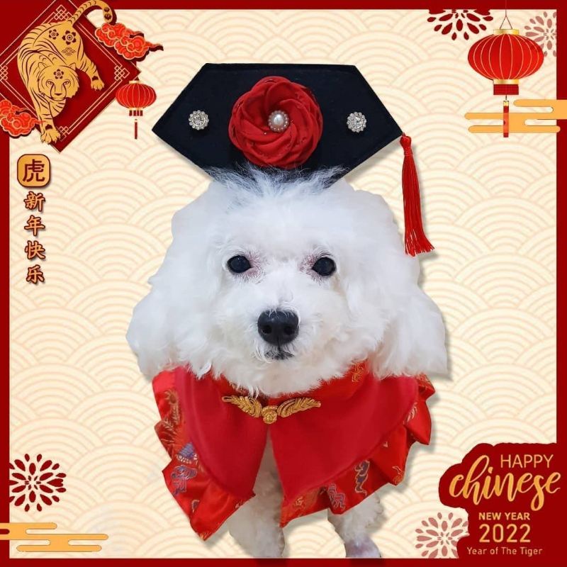 Putri Huan Zu Topi Pet Accesories Bando Anjing Kucing Imlek Lunar Edition