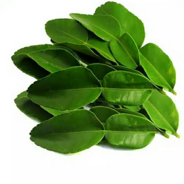 

DAUN JERUK PURUT 100 Gram