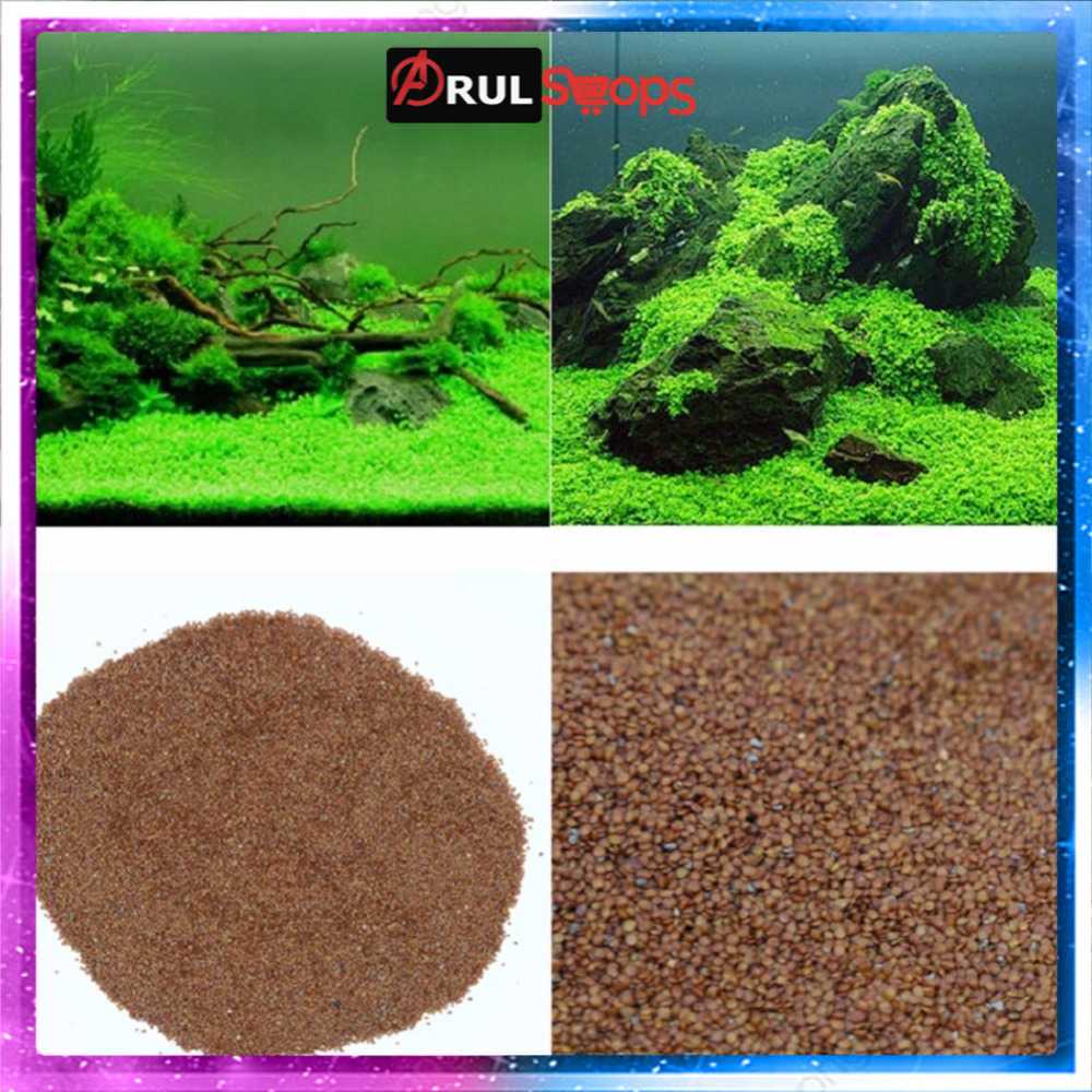 ARS - Bibit Rumput Air Dekorasi Aquarium Landscape Ornament - H0027