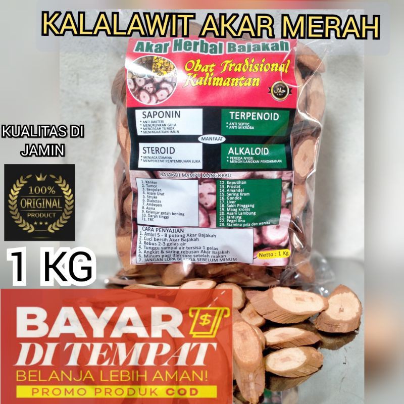 Akar bajakah merah Ori kalimantan