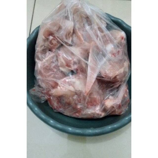 

Tulang ayam