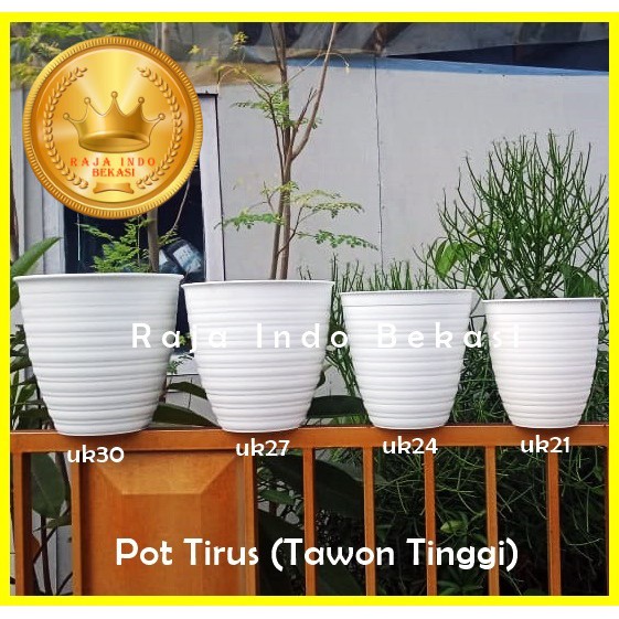 Pot Tawon Putih Tinggi Pirus 21cm Pot Tirus 21cm Pot Tawon Pirus 21 Cm Pot Putih Tirus 21 Cm