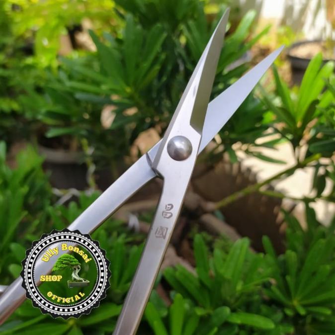 

Coarcella - Gunting Prunning Daun Dan Ranting 21Cm Stainless Steel Kualitas Premiu
