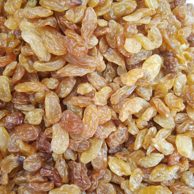 Kismis arab golden raisin semi jumbo 500gr