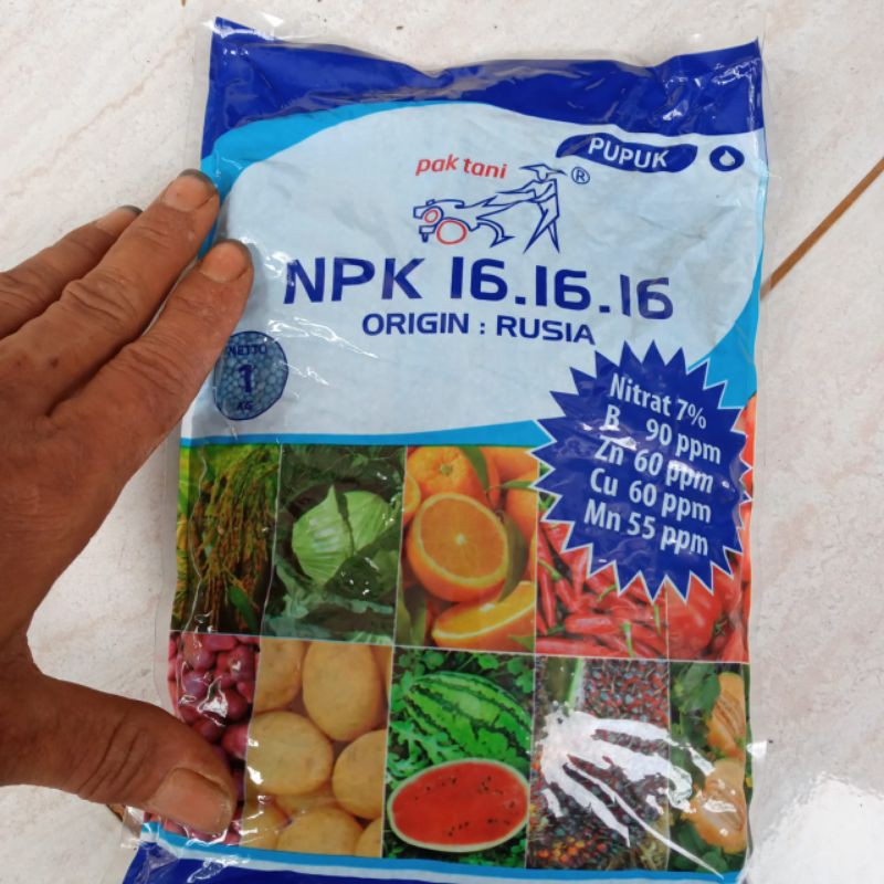 PUPUK NPK ORIGIN RUSIA