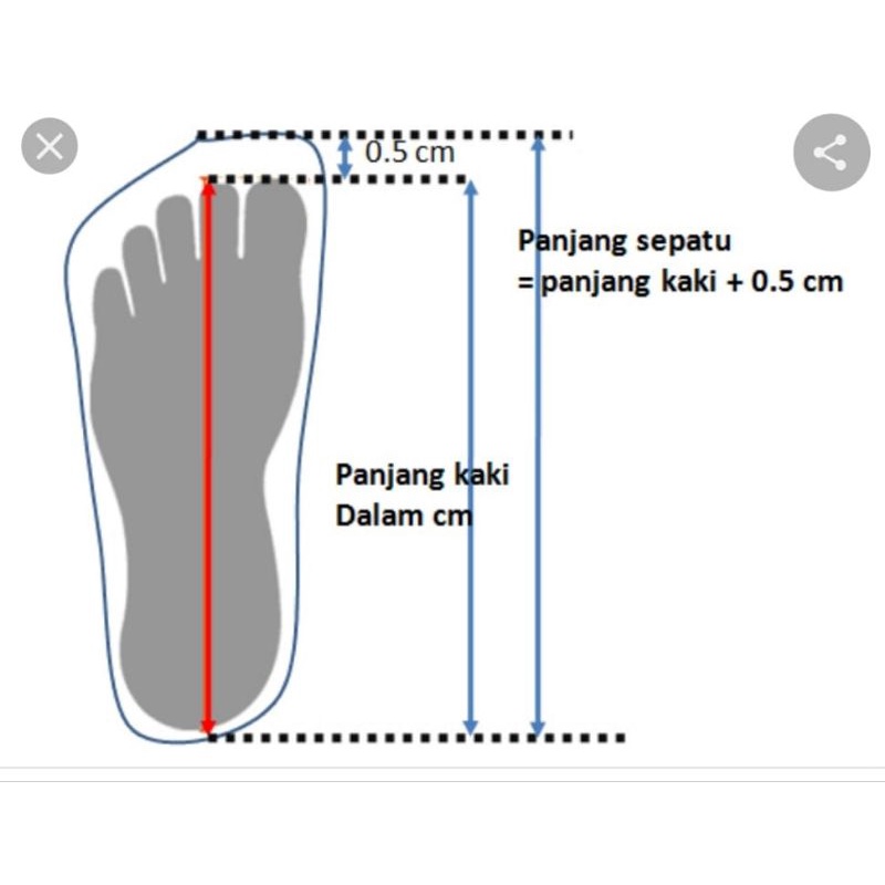 Selop Silang Gesper Balance 2177