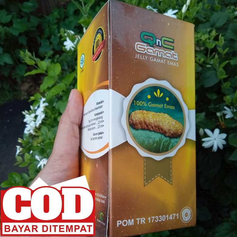 Obat Bell Palsy Bell S Palsy Herbal Obat Lumpuh Syaraf Wajah Obat Stroke Ringan Tradisional Shopee Indonesia