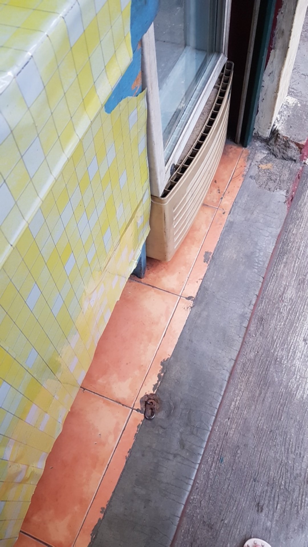 Sikat Cuci Premium Lotus Hb8 509