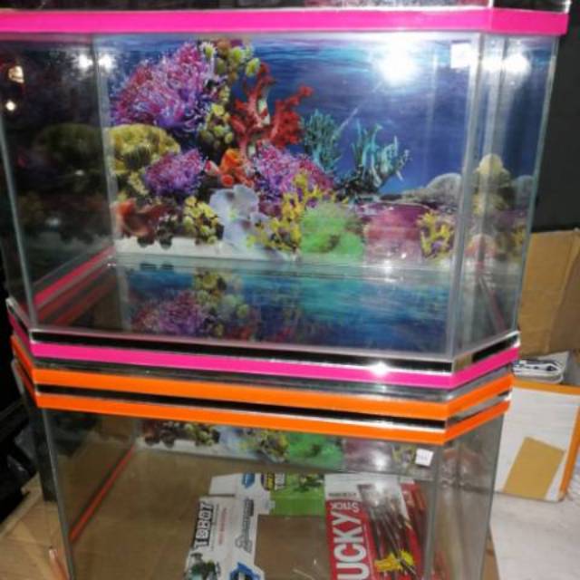 970+ Contoh Aquarium Kaca HD Terbaik