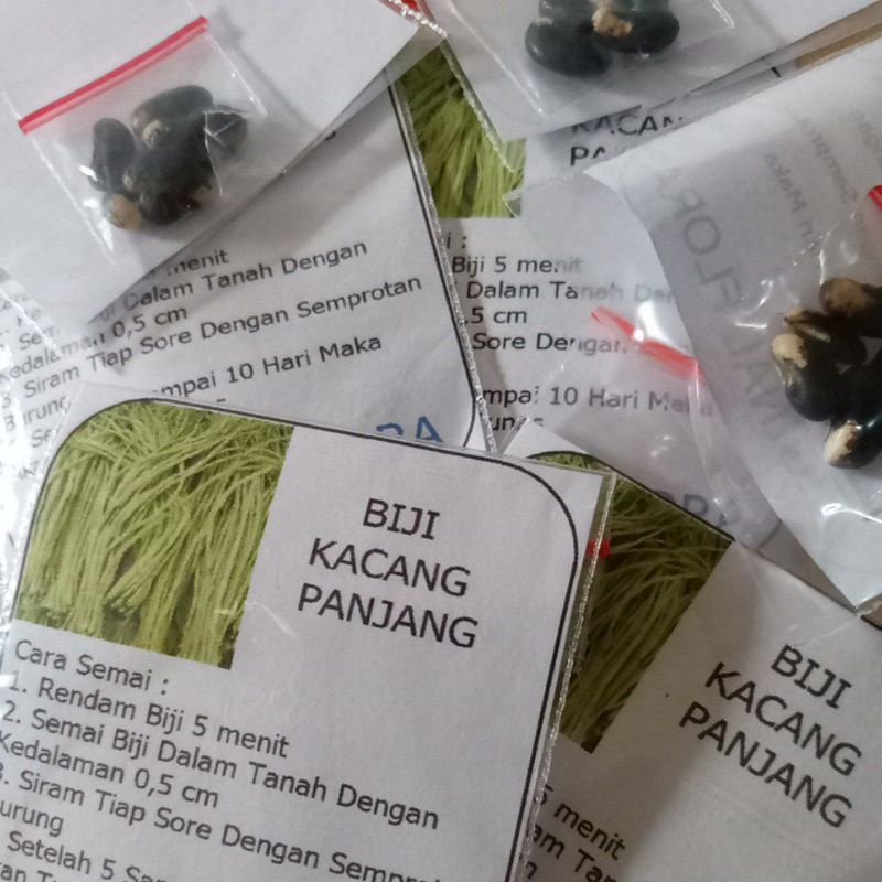 Biji Kacang Panjang Benih Kacang Panjang Siap Semai