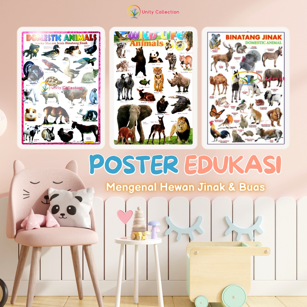 Jual Poster Edukasi Anak Belajar Binatang Jinak Dan Binatang Buas ...