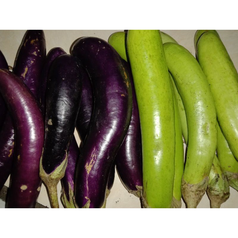 

terong ungu dan terong ijo dijual / kg