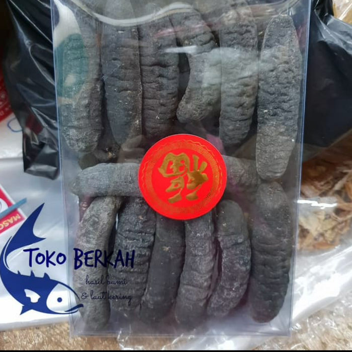 

Roxx.ea - .ea - .ea - Haisom/ Teripang / Lintah Laut/ Sea Cucumber Asli Belitung Isi 10 500G