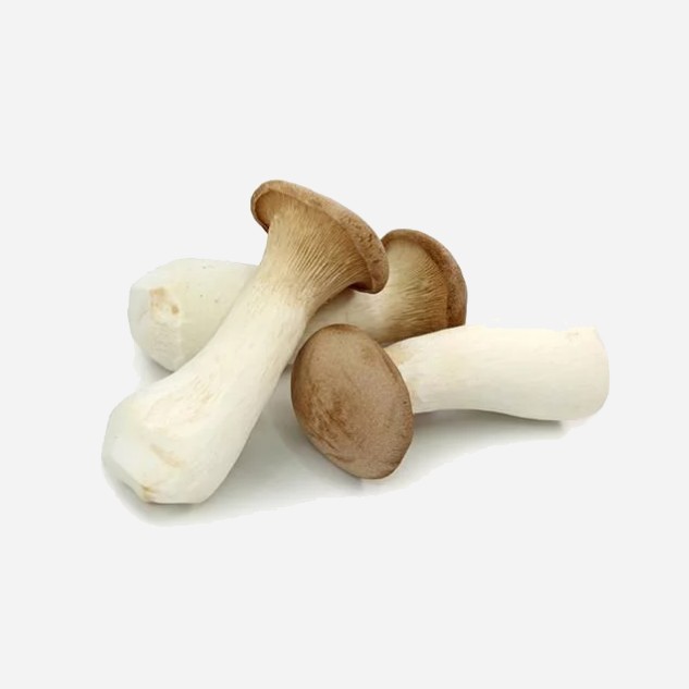 

Jamur King Oyster Kecil Segar