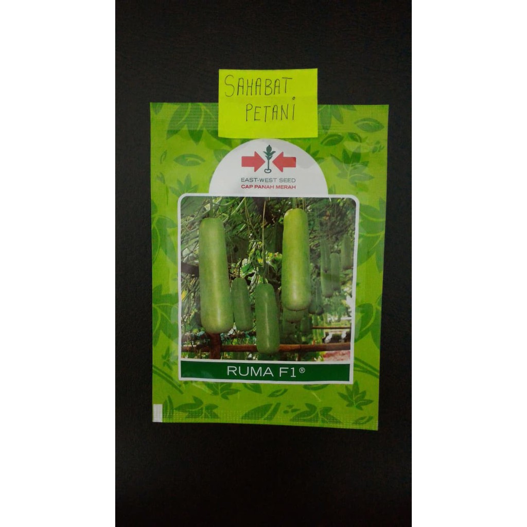 Benih Labu Siam Air Ruma 30 Butir