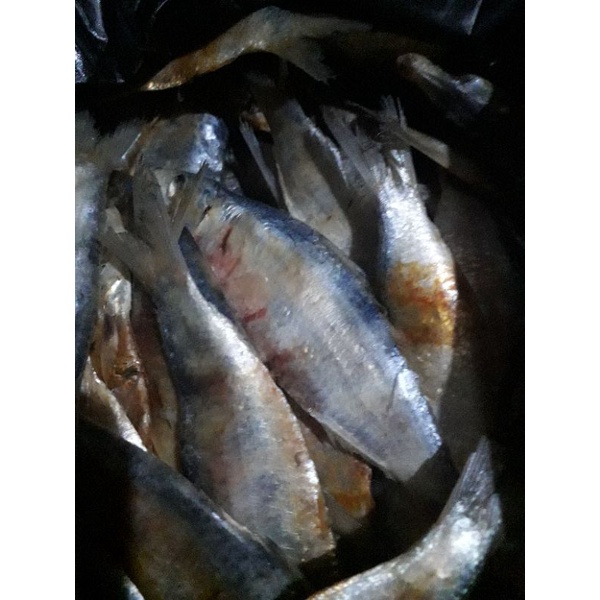 

ikan asin tembang murah1kg