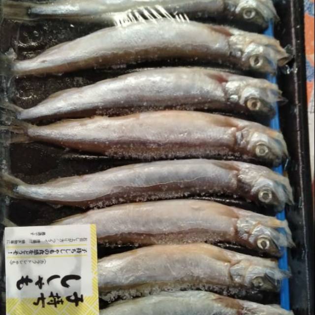 

Ikan shisamo