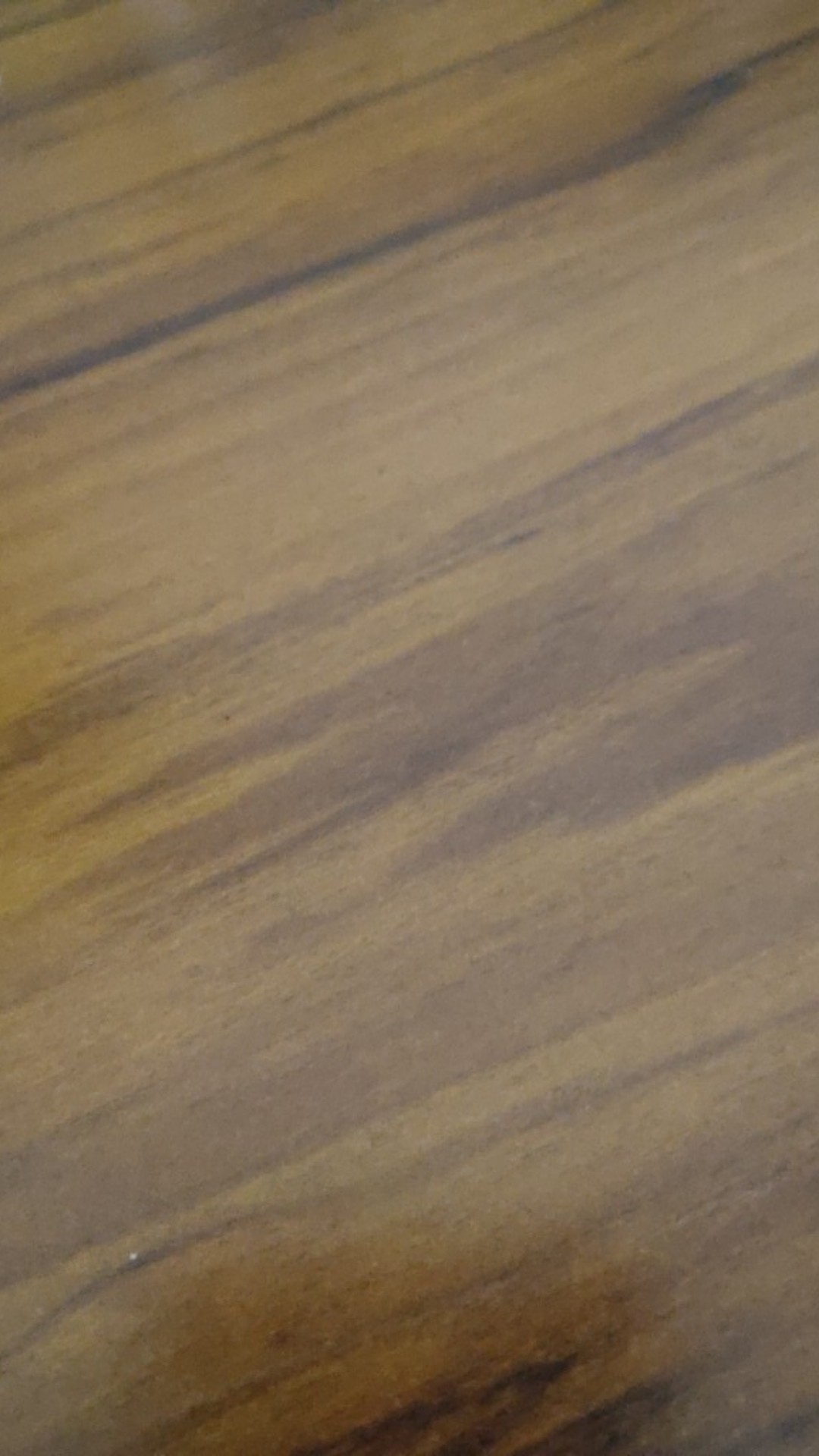 Chamois Kanebo Nagata