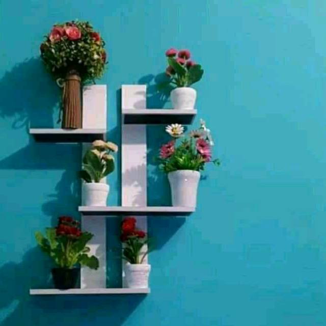 083142796650iza