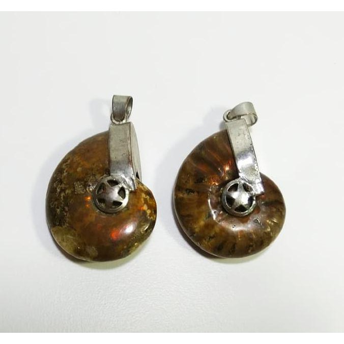 promo harga murah  Liontin Batu Fosil Kerang Ammonite Langka Terbaru