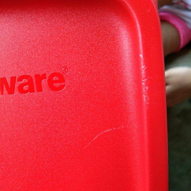 Small Summer Fresh (1)