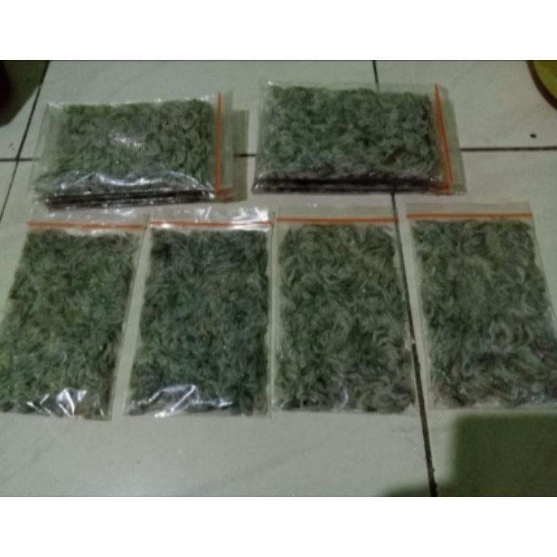 udang beku/pakan ikan