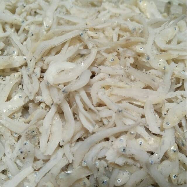

TERI MEDAN