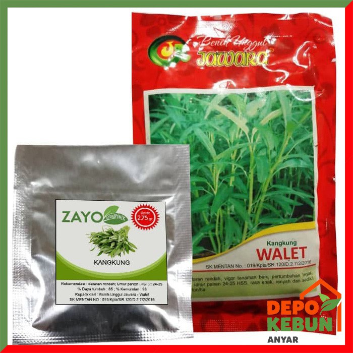 BENIH KANGKUNG /  BIBIT KANGKUNG