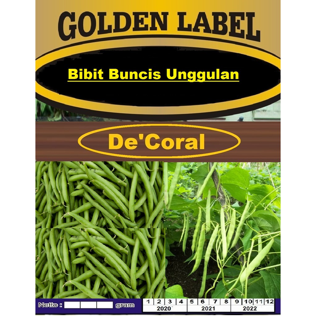 Bibit Buncis Unggulan | Benih Buncis Putih