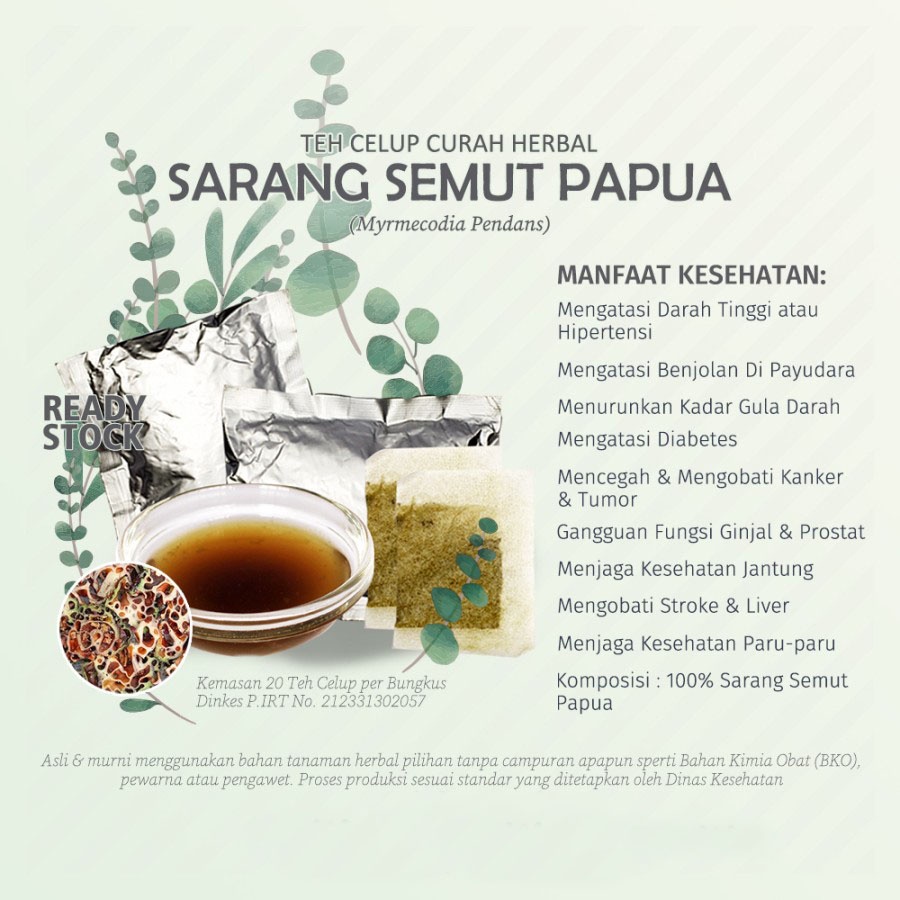 

Teh Celup Herbal Sarangsemut nongon rumah semut antplant