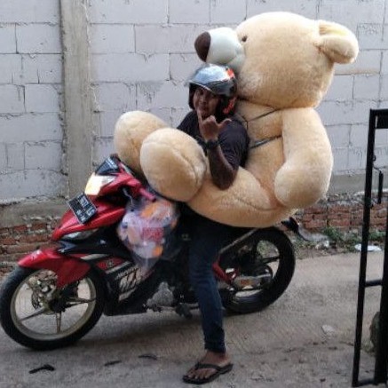 BONEKA TEDDY BEAR SUPER JUMBO 2 METER