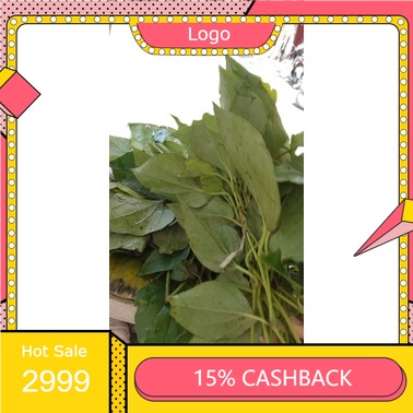 

RENGKEK SURABAYA - Daun sirih/Daun Soroh Per ikat