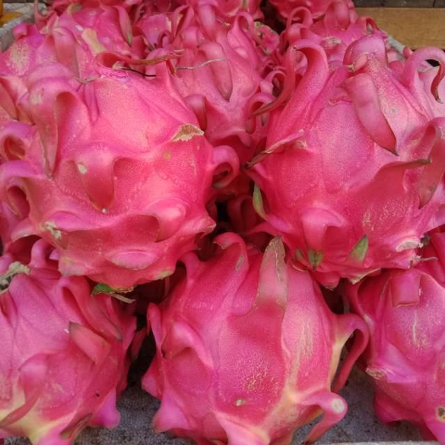 

Naga merah super