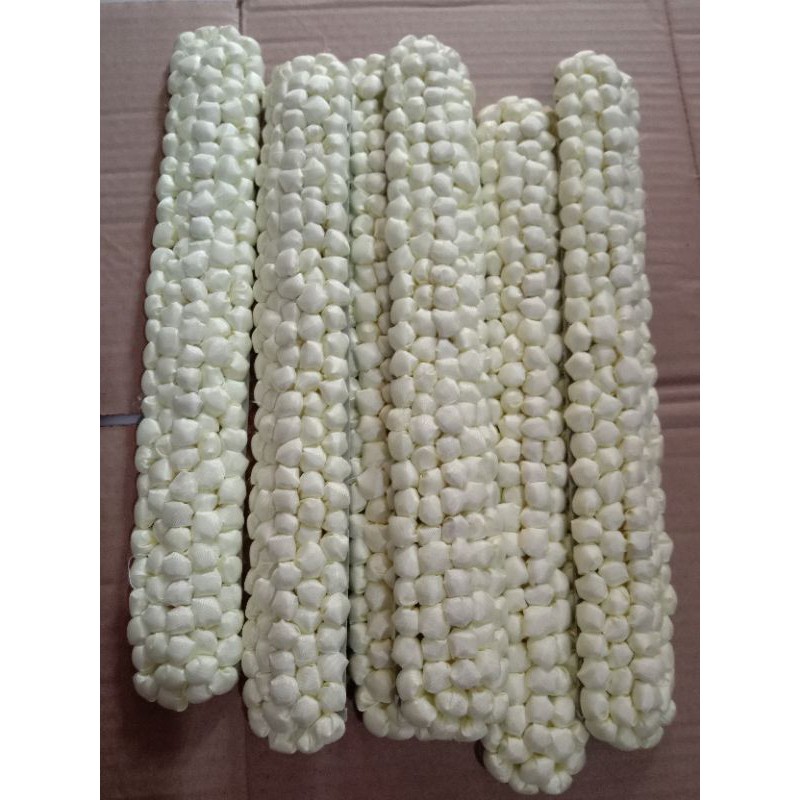 Melati Patam karang jagung