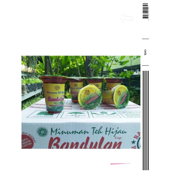 

Teh Bandulan Hijau 180ml 1Dus isi 24pcs