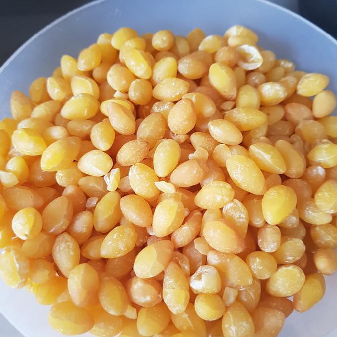 

Ginko Seed( 白果/ Ginko Giloba)