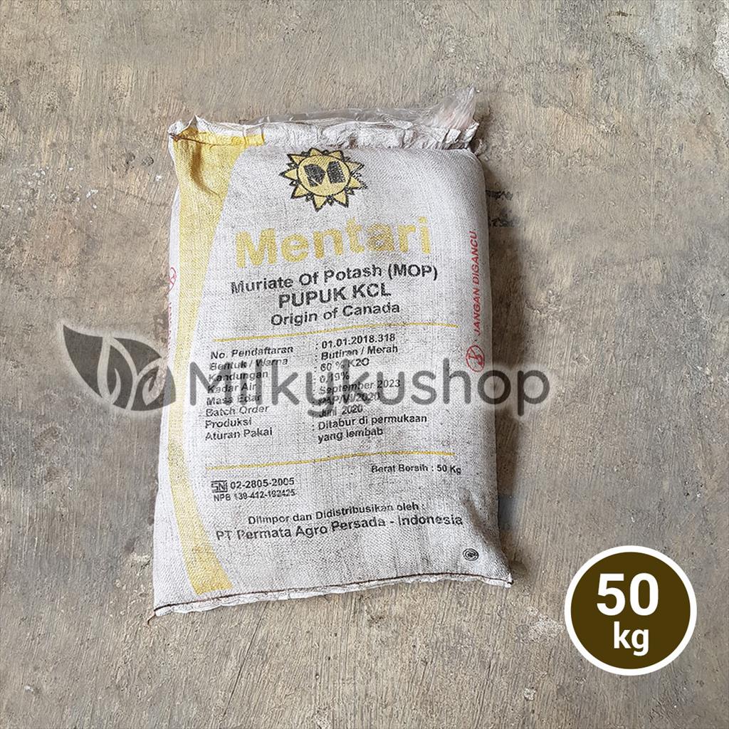 PUPUK MENTARI MOP KCL 50 KG KEMASAN PABRIK VIA GOSEND GRAB