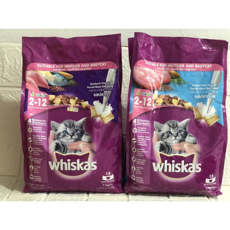 WHISKAS JUNIOR ||MAKANAN KUCING WHISKAS JUNIOR