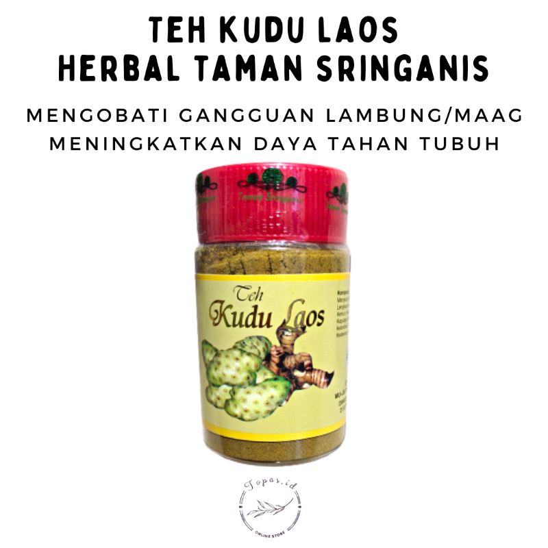 

TEH KUDU LAOS TANPA GULA, MENGOBATI MAAG DAN NYERI LAMBUNG