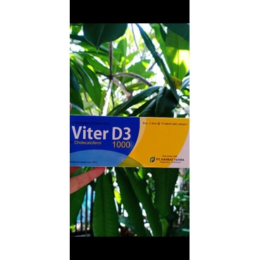 Vitamin D Viter D3 1000IU