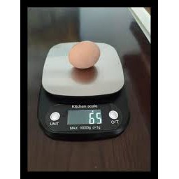 Timbangan Digital | Timbangan Dapur | Timbangan Digital Dapur | Timbangan Digital Dapur Murah