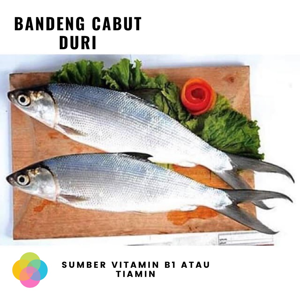 

Bandeng Cabut Duri Frozen Besar @450gram per ekor tanpa duri