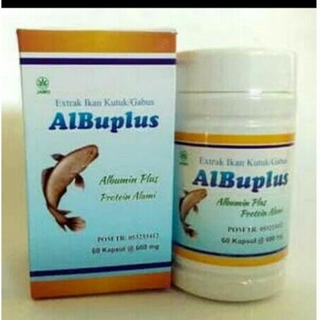 ALBUPLUS .EKSTRAK ALBUMIN IKAN GABUS KUTUK